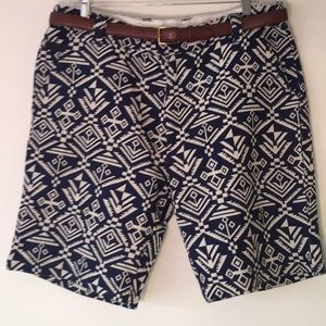 Zak Tribal Aztec Woven Knit Shorts